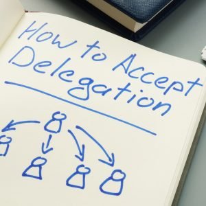 I Can’t Delegate That!